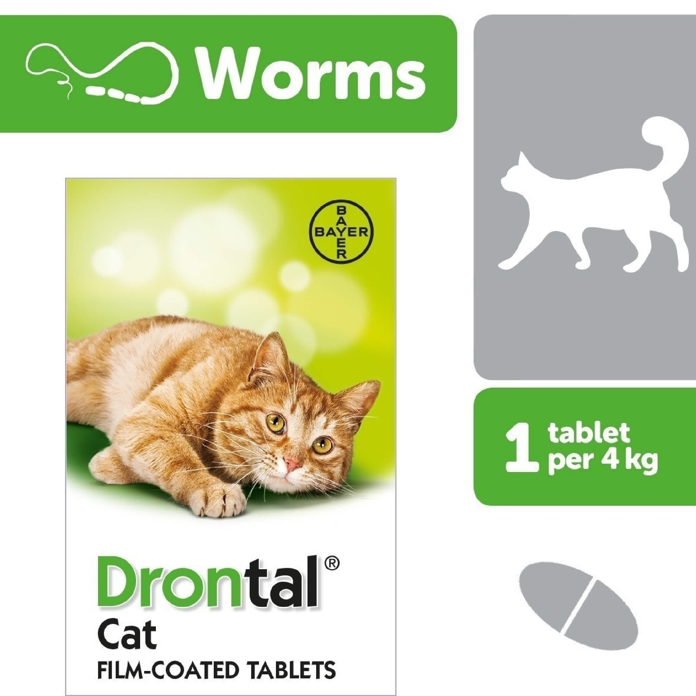 Drontal® Deworming Tablet for Cats – Pet Collectives